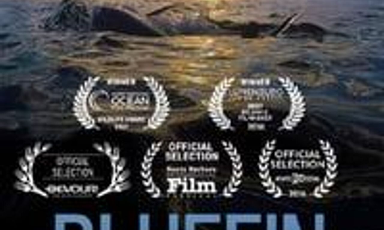 header image for Bluefin