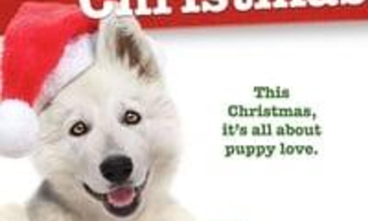 header image for A Belle for Christmas