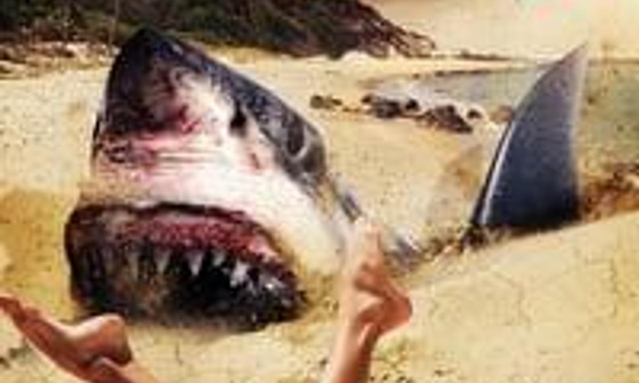 header image for Land Shark