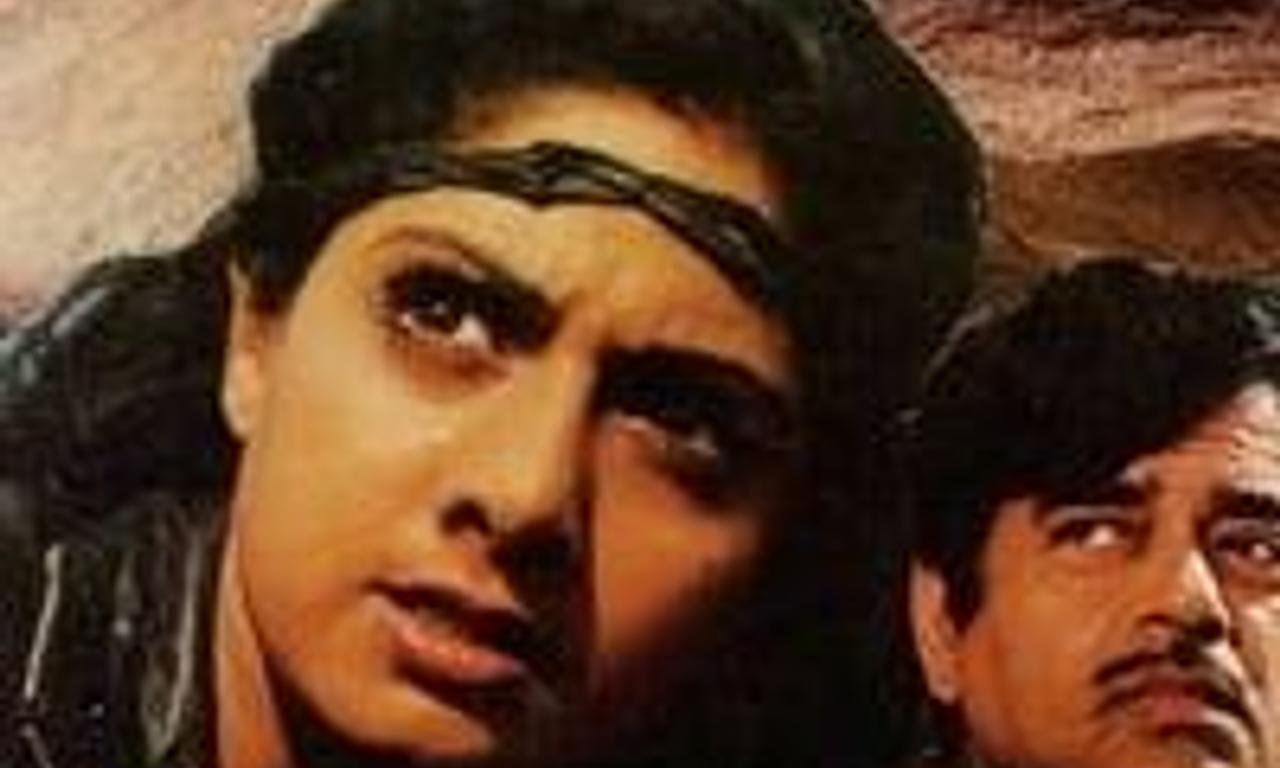 header image for Sherni