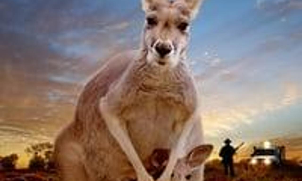 header image for Kangaroo: A Love-Hate Story
