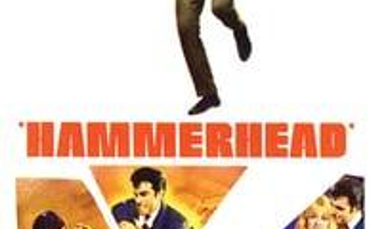 header image for Hammerhead