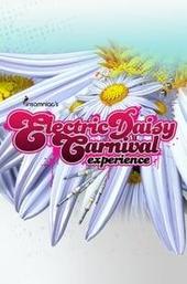 Electric Daisy Carnival Experience