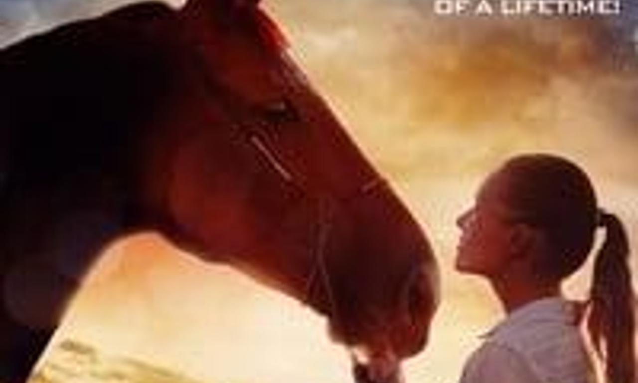 header image for A Horse Tale