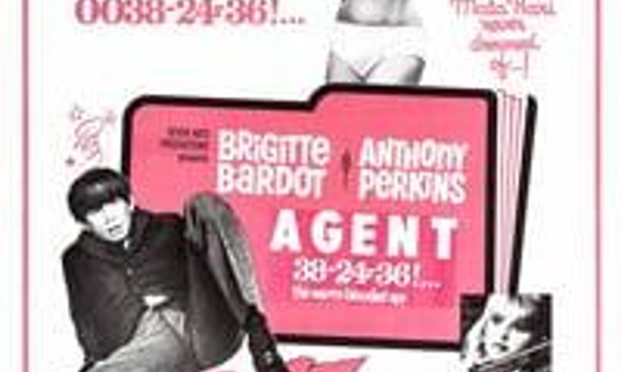 header image for A Ravishing Idiot