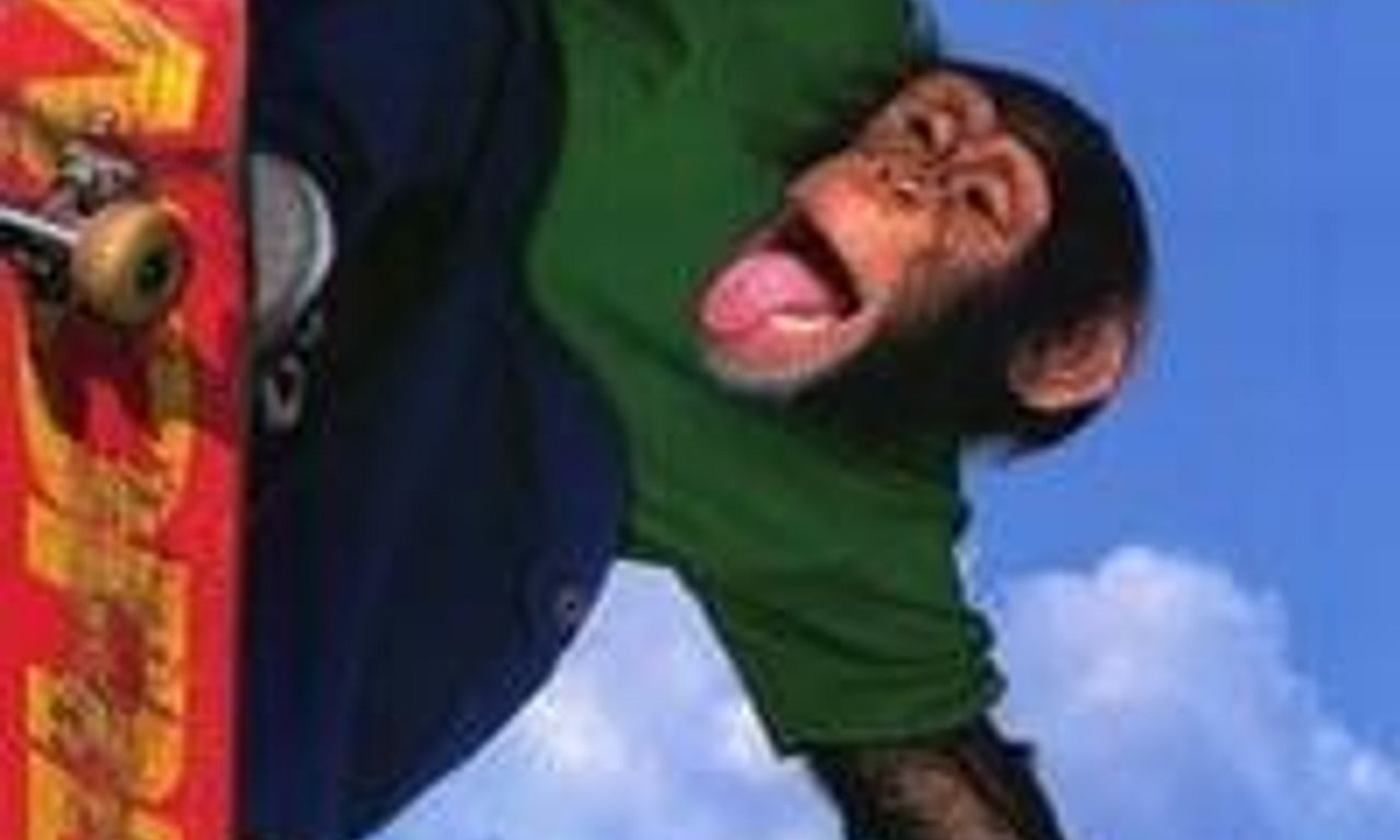 header image for MVP 2: Most Vertical Primate