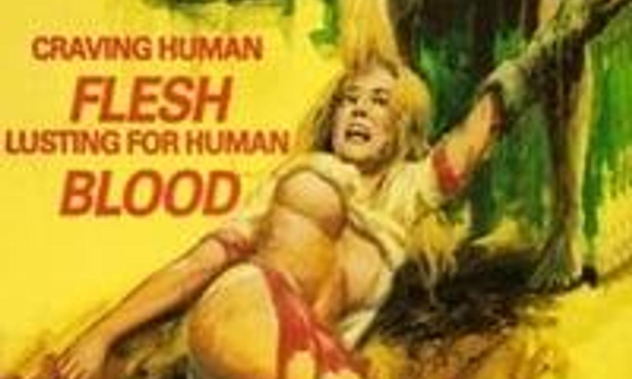 header image for Bog