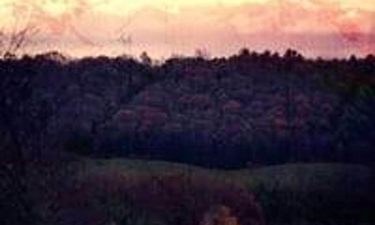 header image for Seclusion