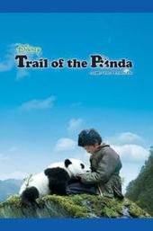 Trail of the Panda