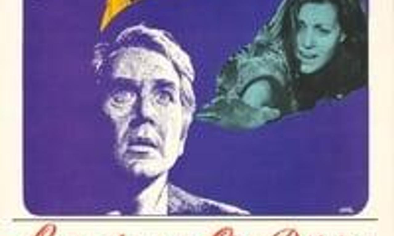 header image for La noche de los cien pájaros