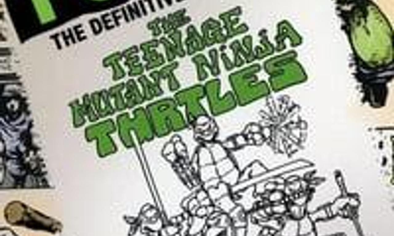 header image for Turtle Power: The Definitive History of the Teenage Mutant Ninja Turtles