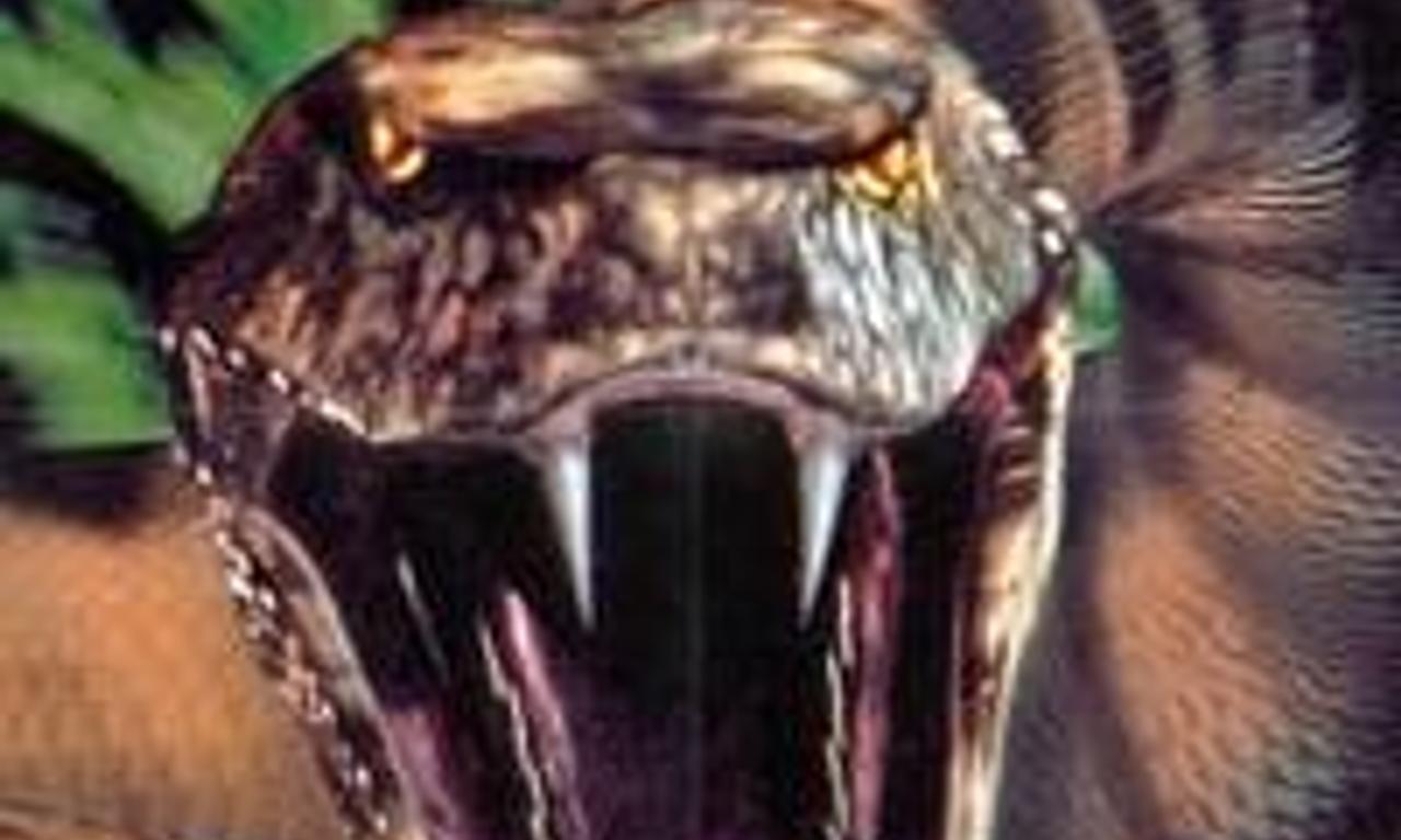 header image for Python