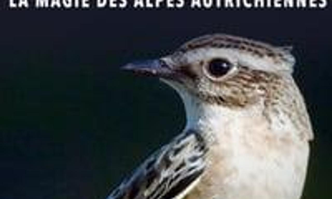 header image for Lungau – Wildnis im Herzen der Tauern