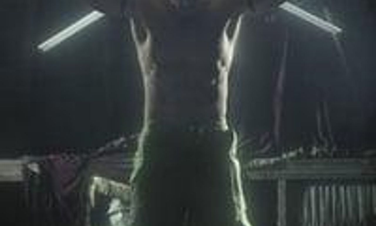 header image for The Trade