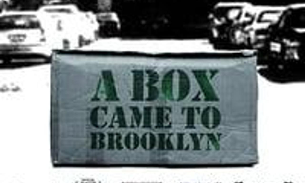 header image for A Box Came to Brooklyn