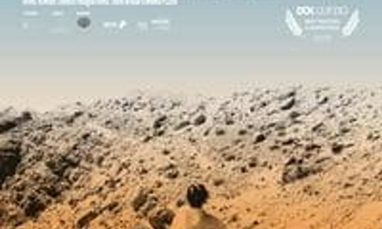 header image for Arid Zone