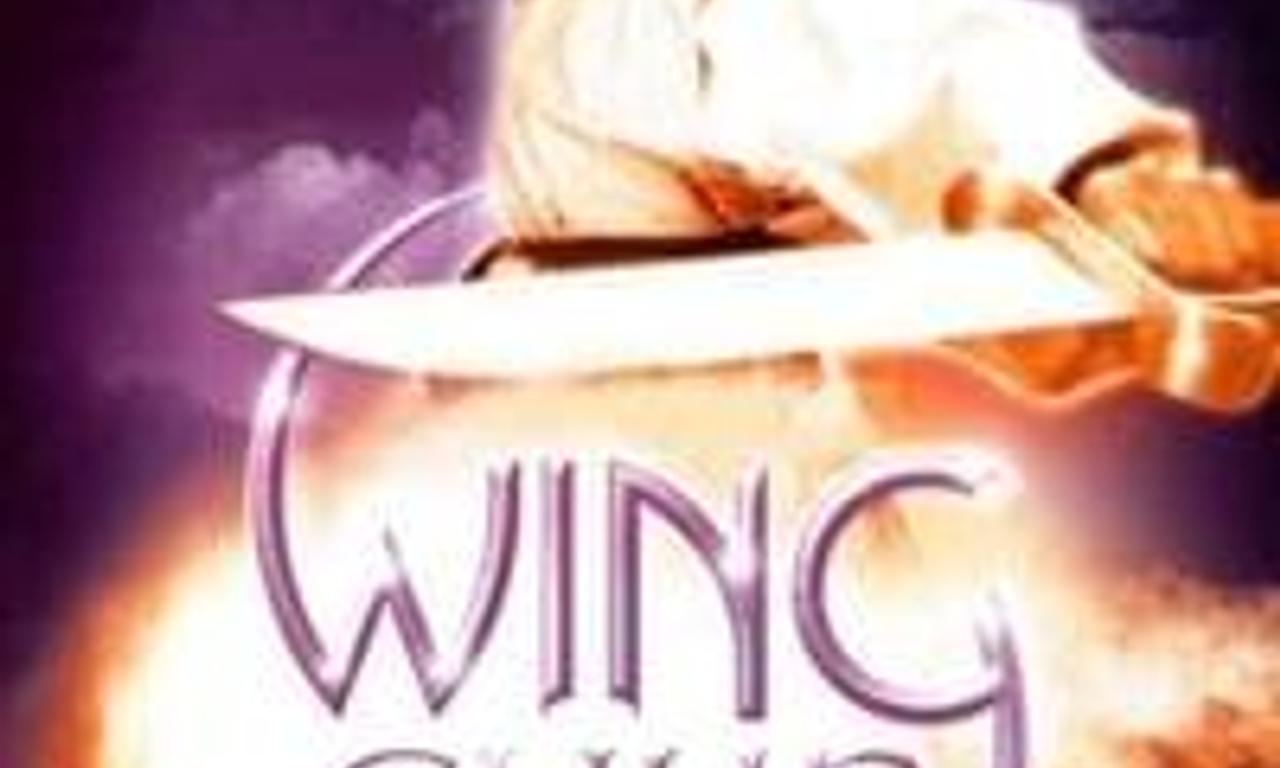 header image for Wing Chun