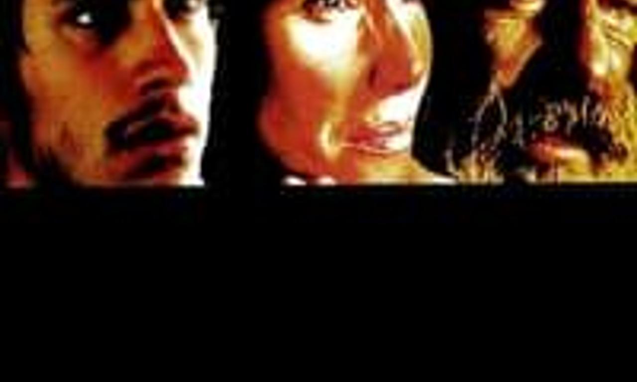 header image for Amores Perros