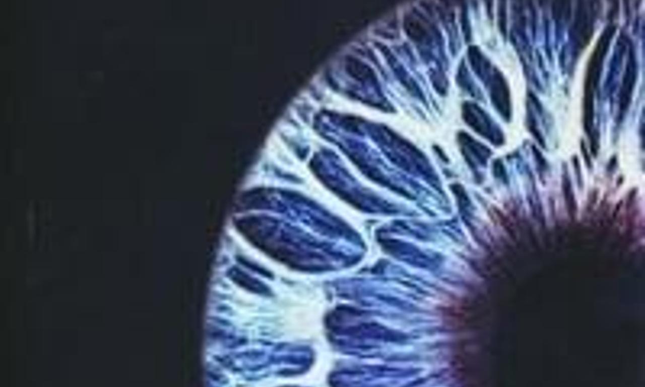 header image for Blue Eyed