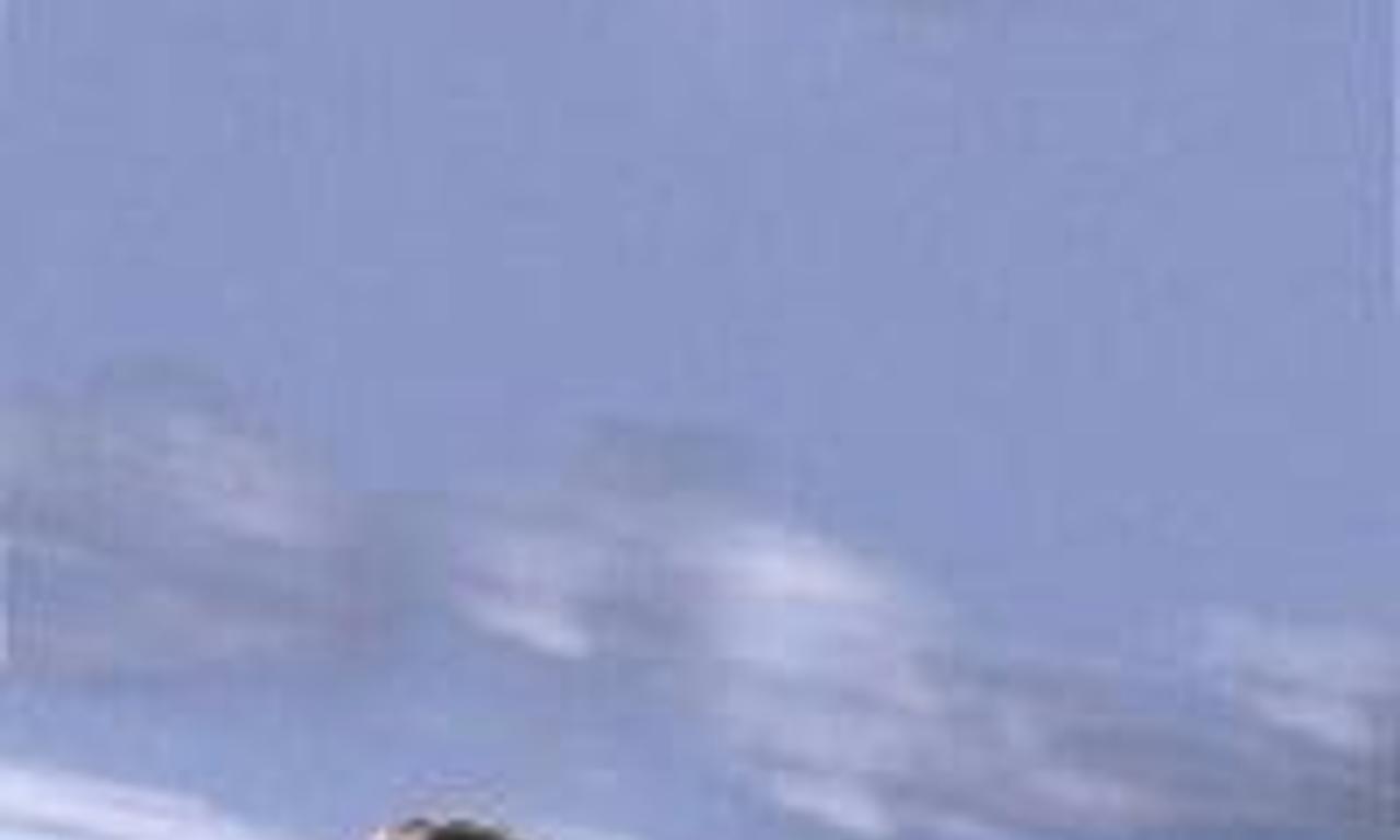 header image for Whistle and I'll Come to You