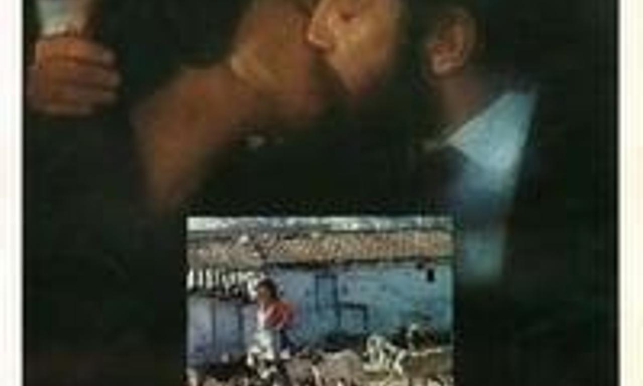 header image for Dedicated to...