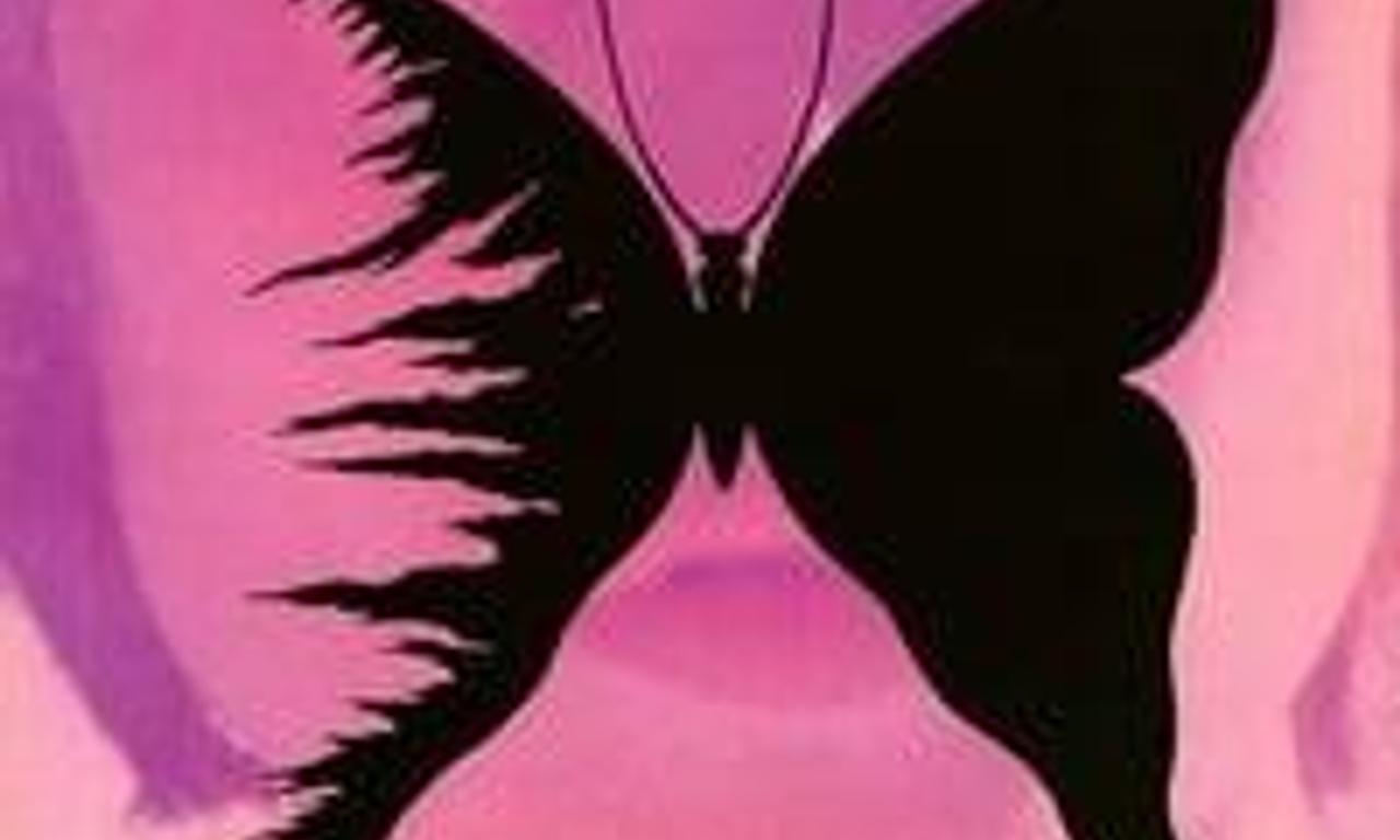 header image for Butterfly Wings