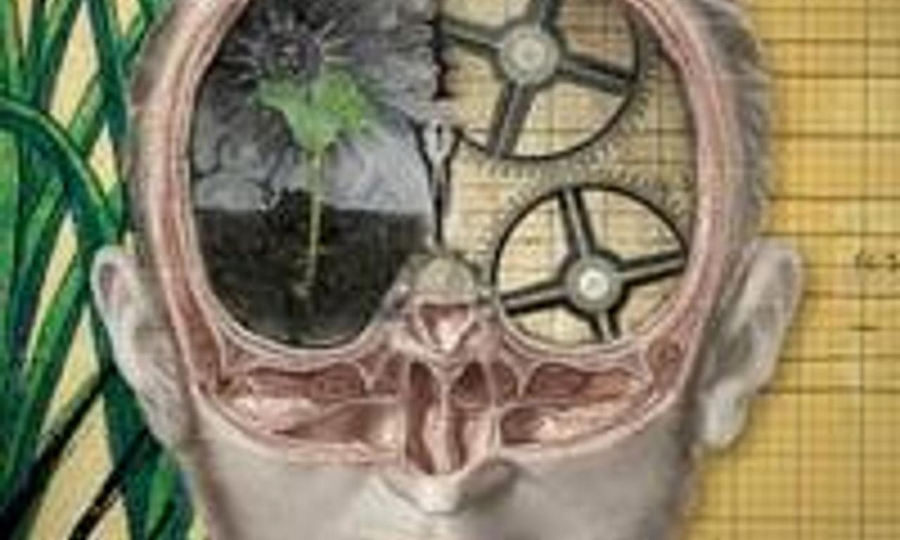 header image for The Divided Brain