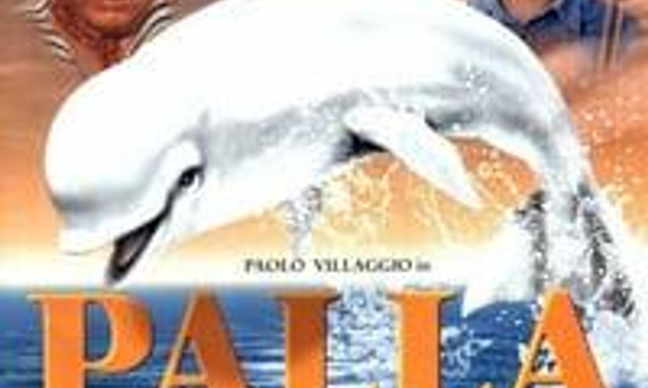 header image for Snowball