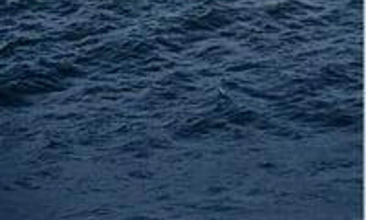 header image for Ocean Driven