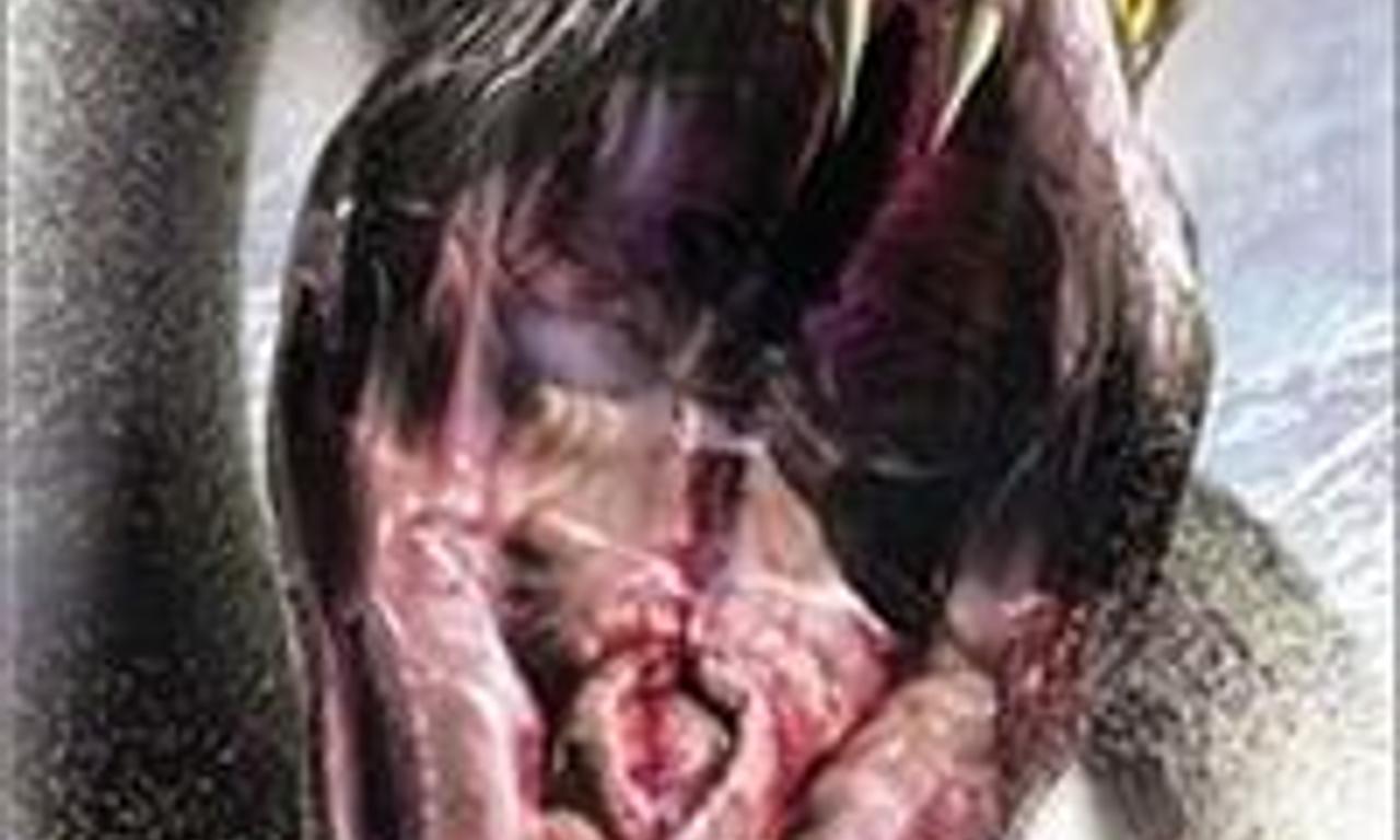 header image for New Alcatraz