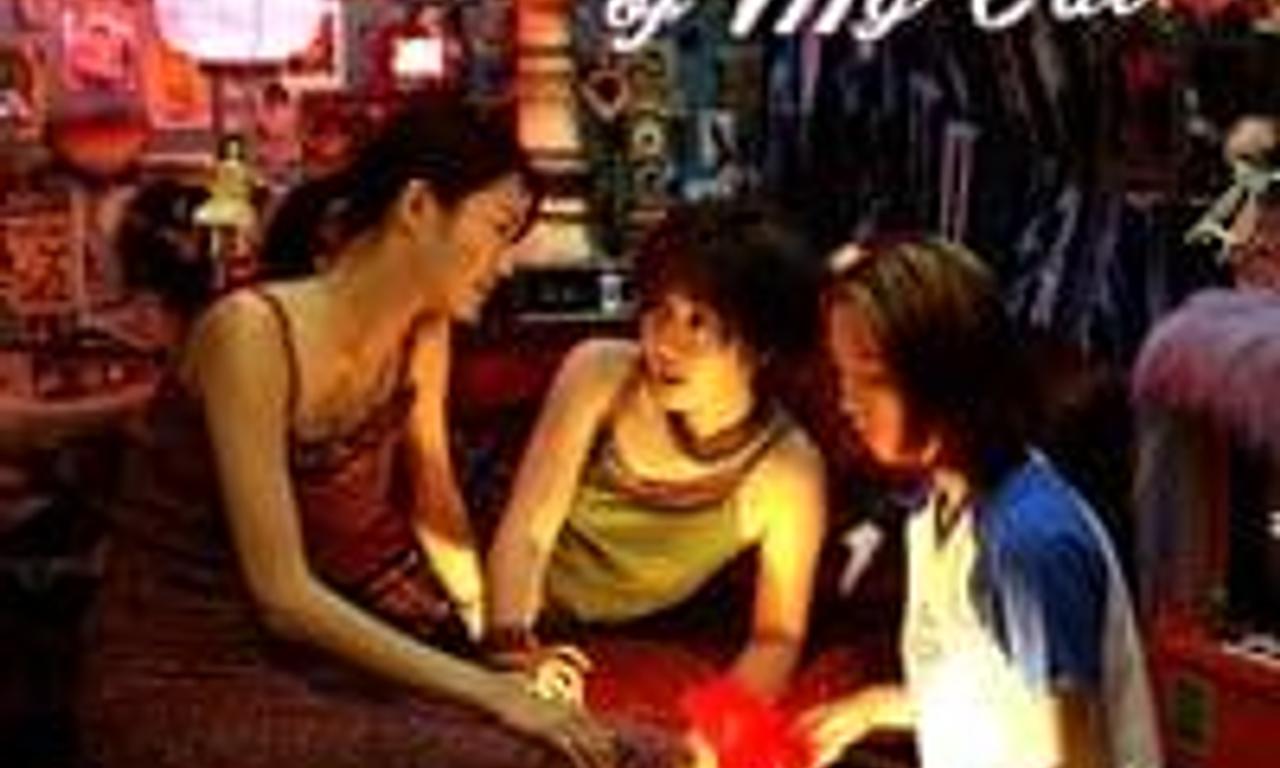 header image for Take Care of My Cat