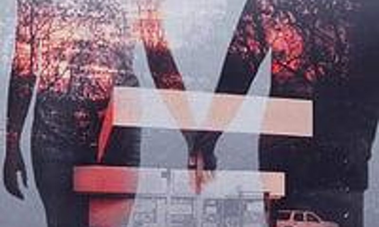 header image for The Disappearance of the Millbrook Twins