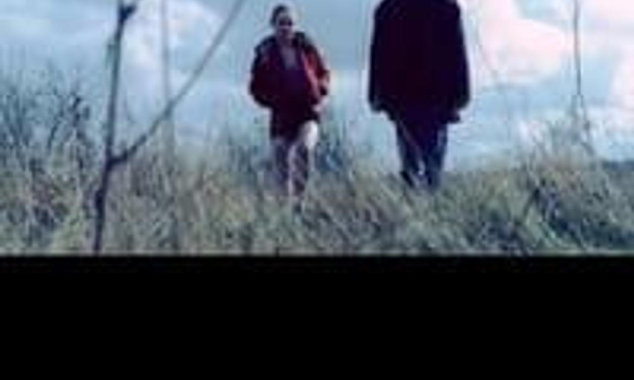 header image for Dog