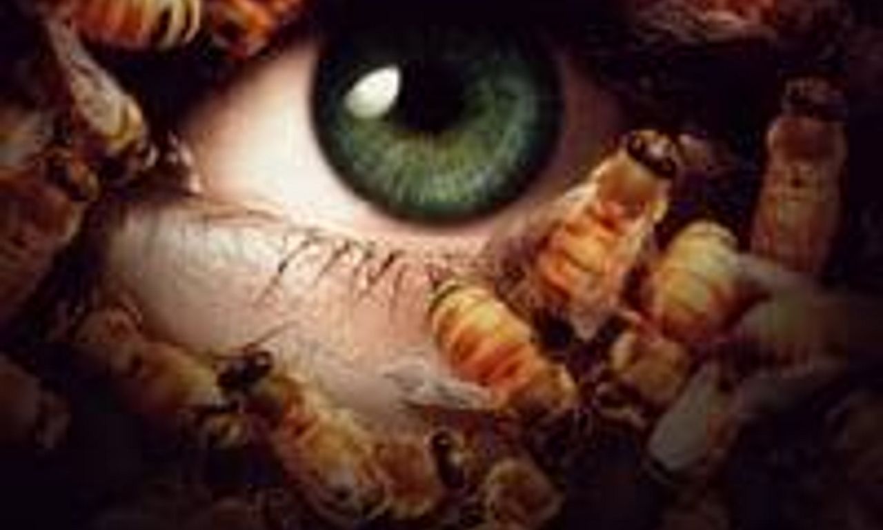 header image for Candyman: Day of the Dead