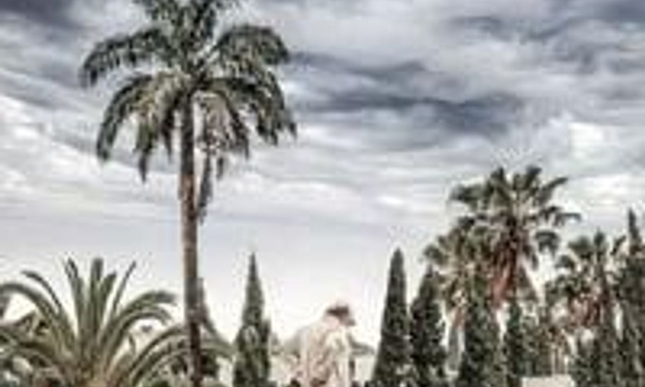 header image for Hammamet