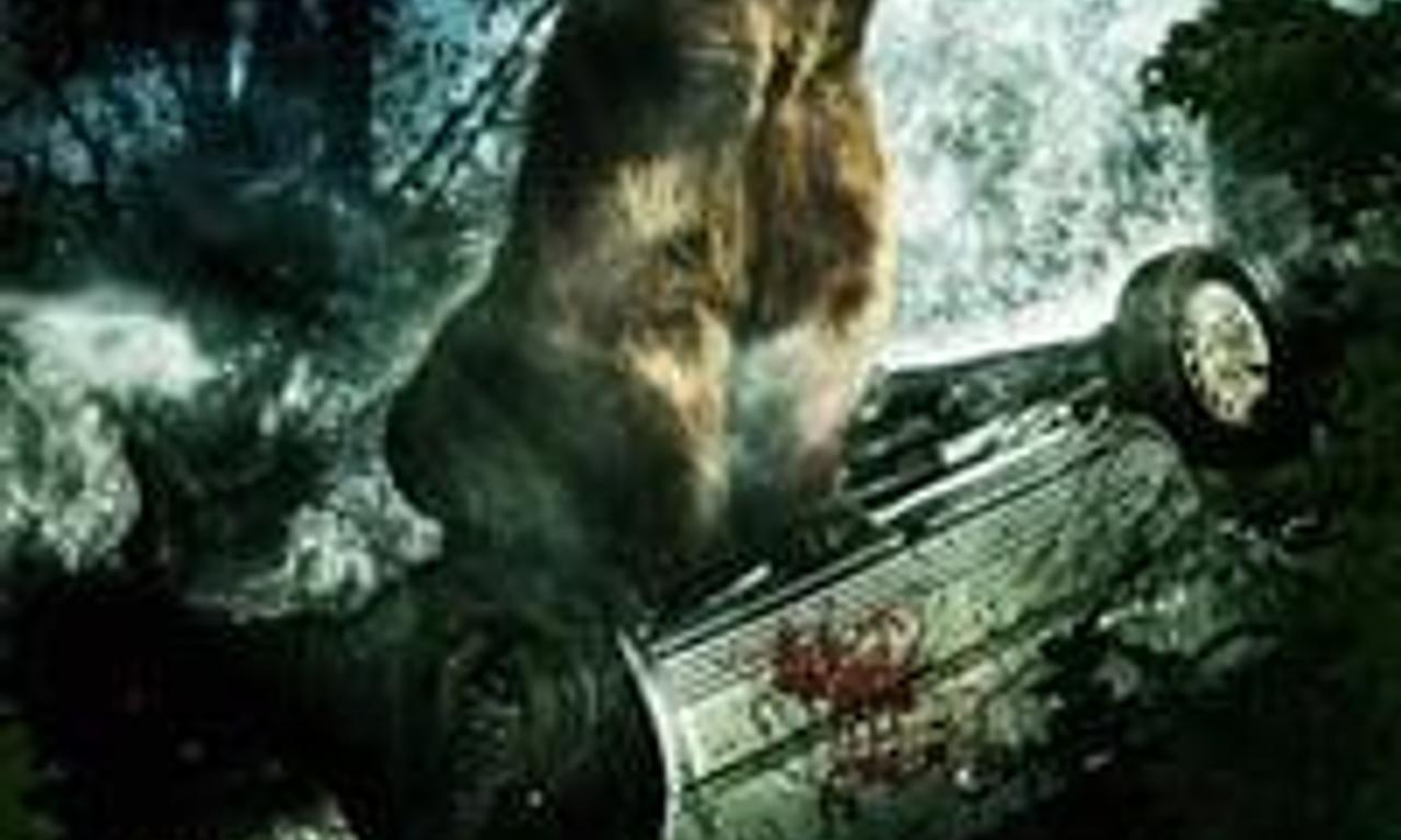 header image for Bear