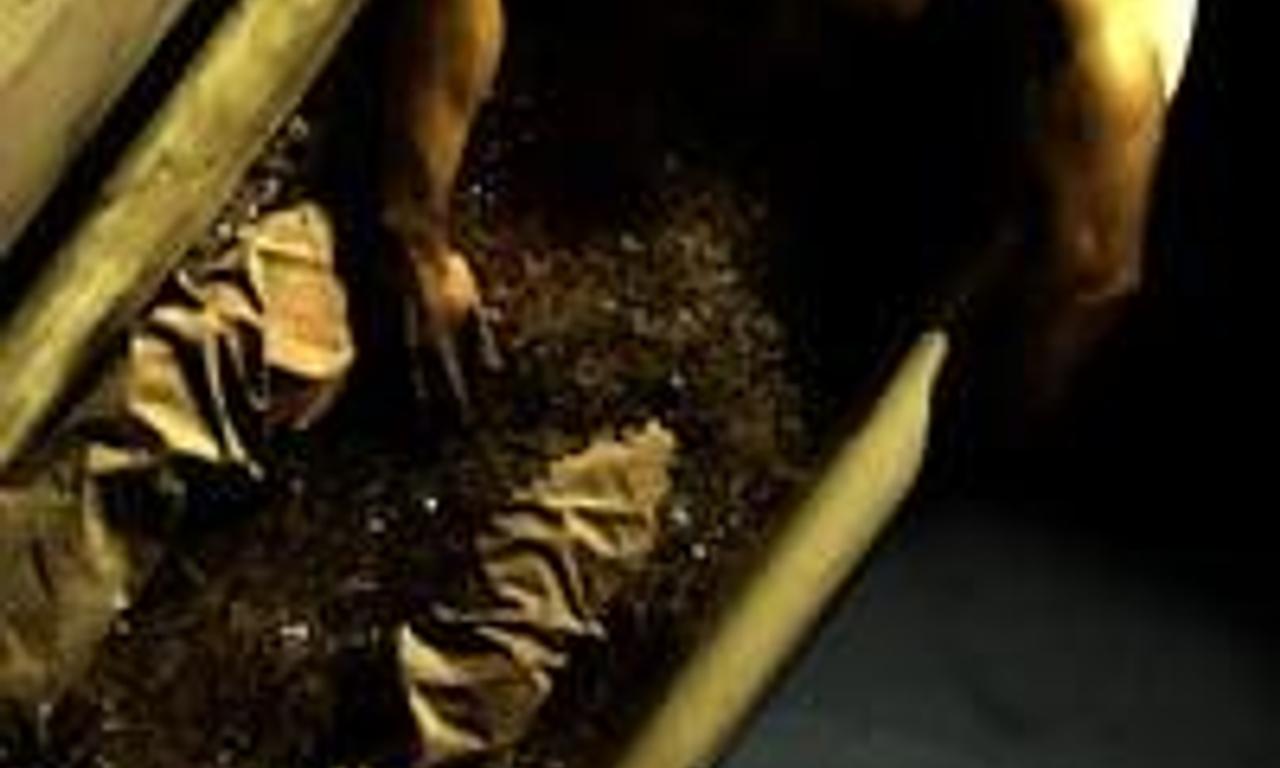 header image for Vitals