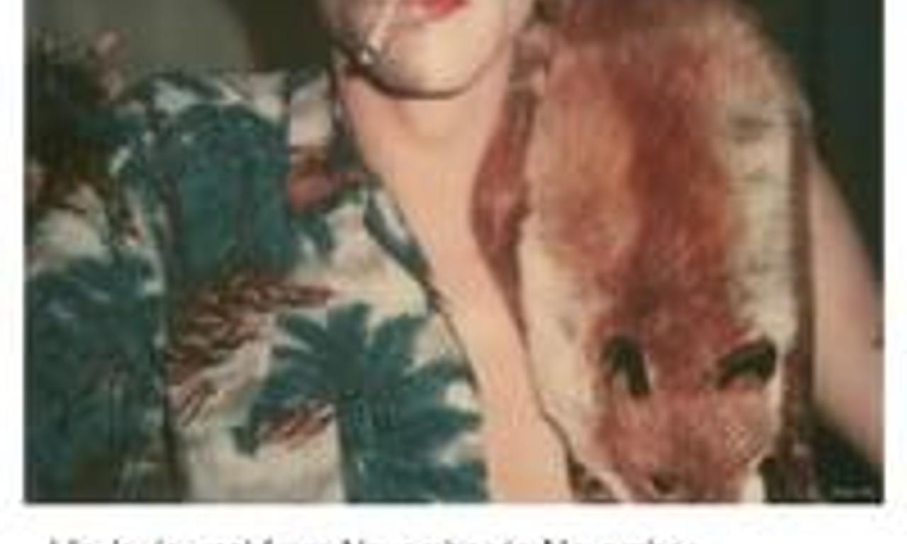 header image for Ulay