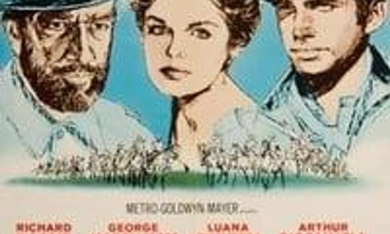 header image for A Thunder of Drums