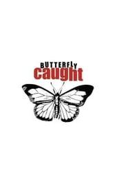 Butterfly Caught