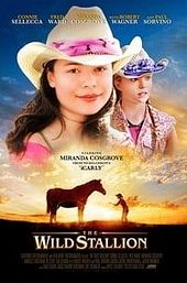 The Wild Stallion