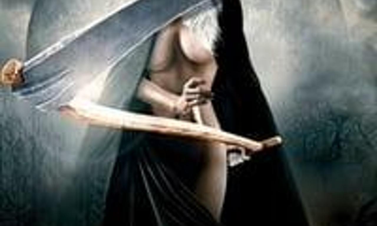 header image for Fascination