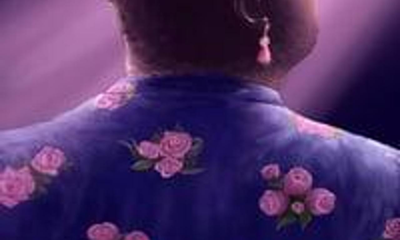 Mister Where to Watch and Stream Online Entertainment.ie