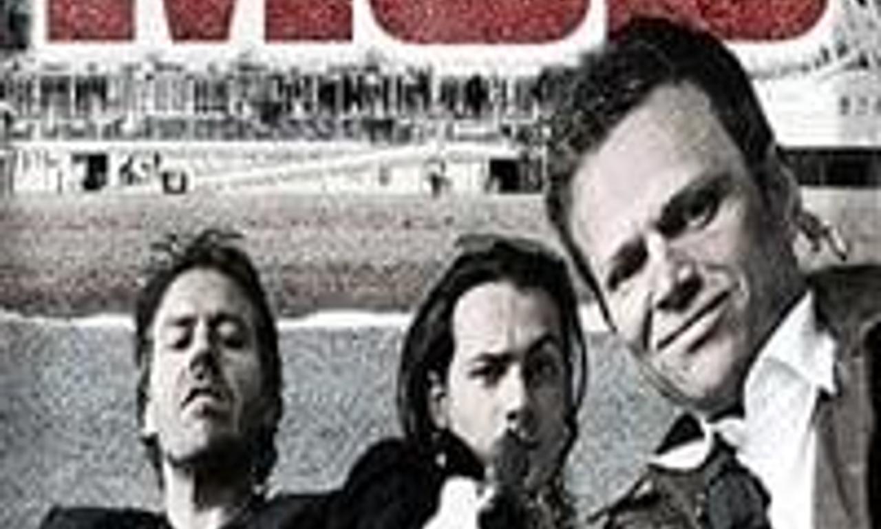 header image for The Brighton Mob