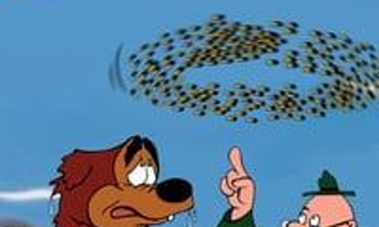 header image for Beezy Bear