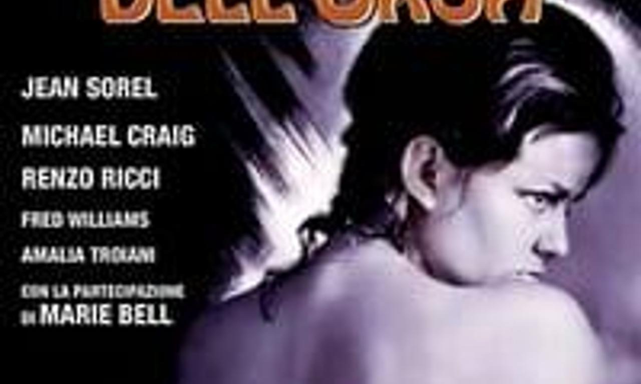 header image for Sandra