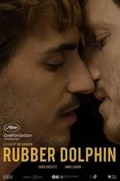 Rubber Dolphin