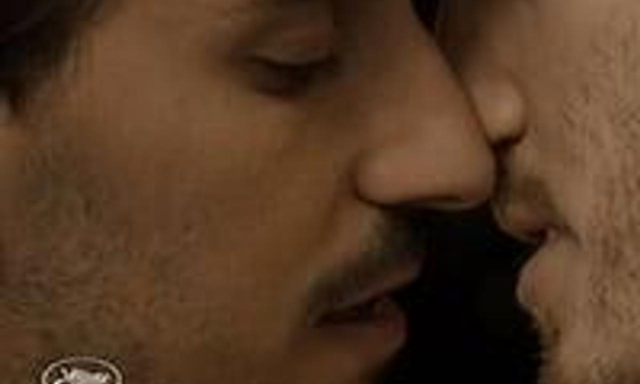 header image for Rubber Dolphin