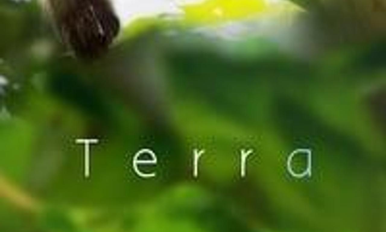header image for Terra