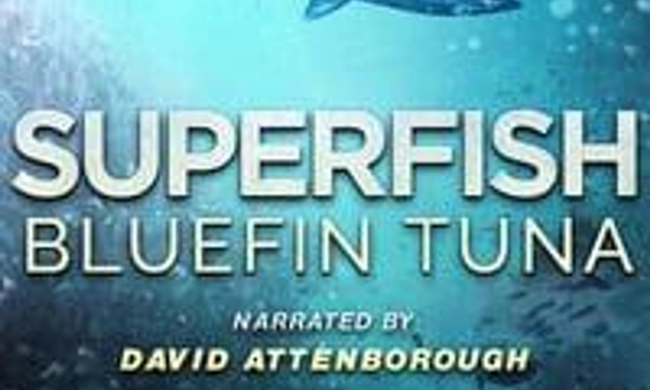 header image for Urban Myths